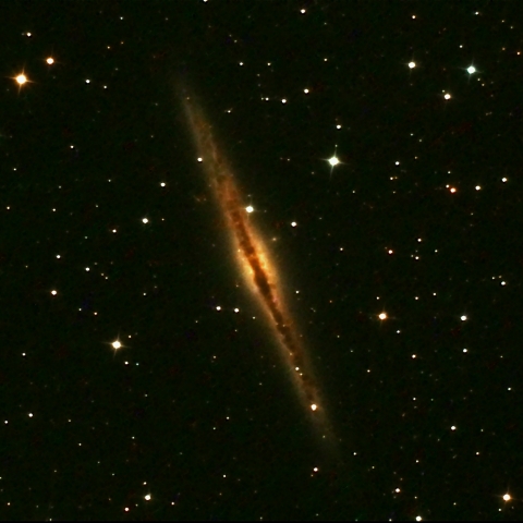 NGC891