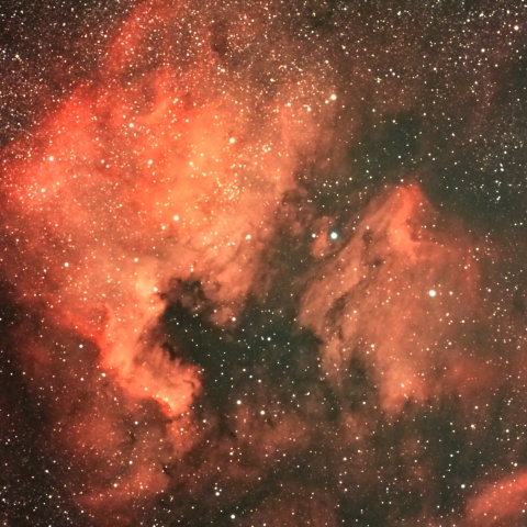 北アメリカ星雲　ペリカン星雲