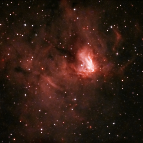 NGC1491