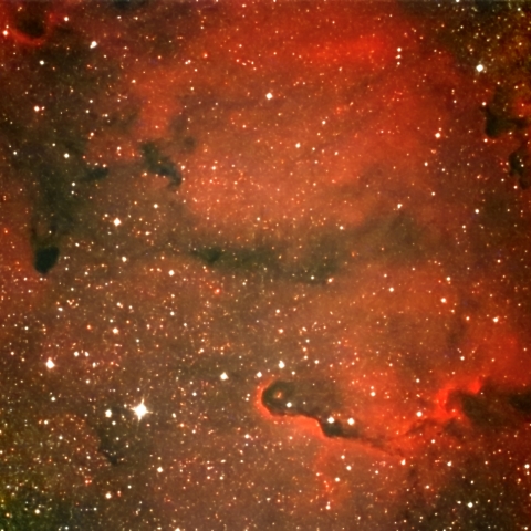 IC1396 