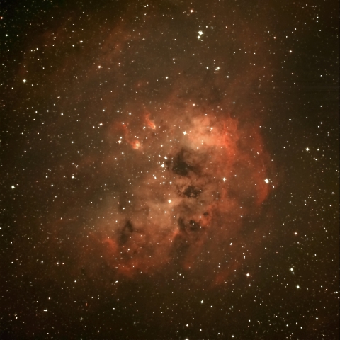 IC410 オタマジャクシ星雲