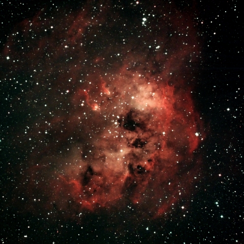 IC410 オタマジャクシ星雲