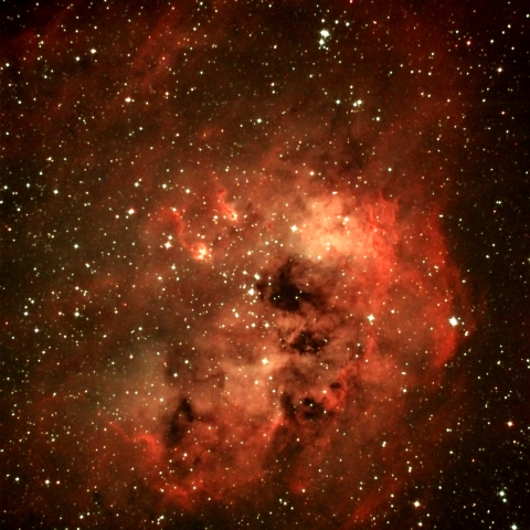 おたまじゃくし星雲