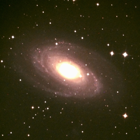 M81