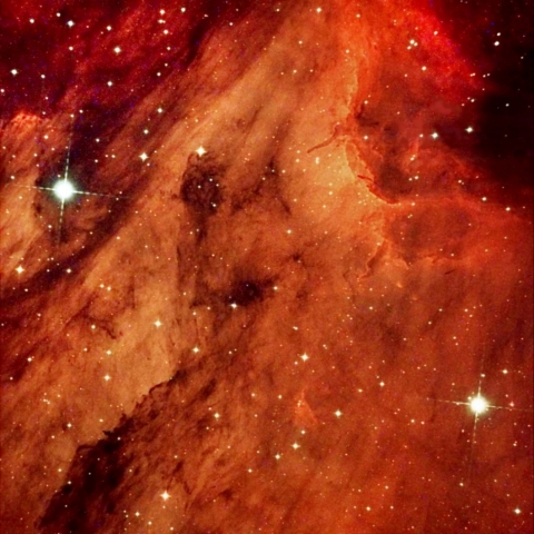 ペリカン星雲頭部