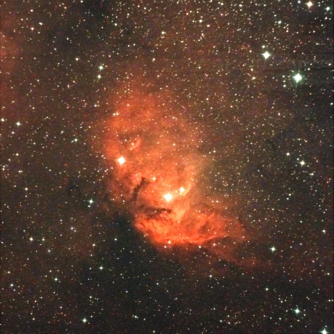 チューリップ星雲