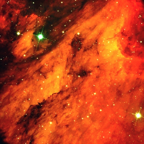 ペリカン星雲 頭部