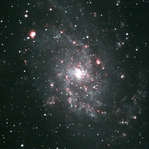 M33