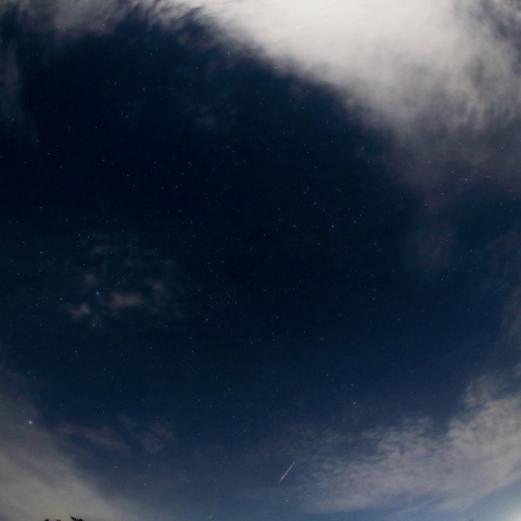 ペルセウス座流星群その1