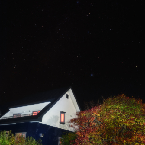 cygnus flying over my house