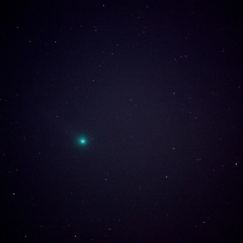 京都のラブジョイ彗星