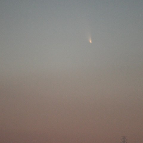 パンスターズ彗星