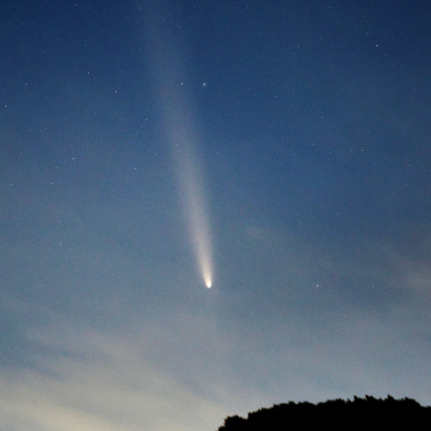 紫金山・アトラス彗星