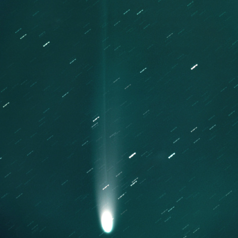 C/2025 A6 レモン彗星