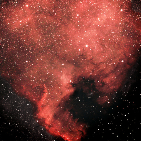 NGC7000  北アメリカ星雲