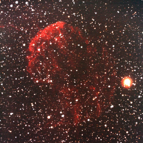 IC443 くらげ星雲