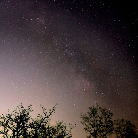 高尾山から撮る天の川
