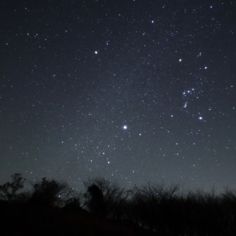草原のオリオン