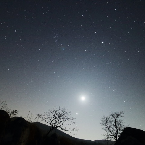 集う惑星（ほし）達