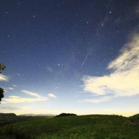 流れ星キャッチ！