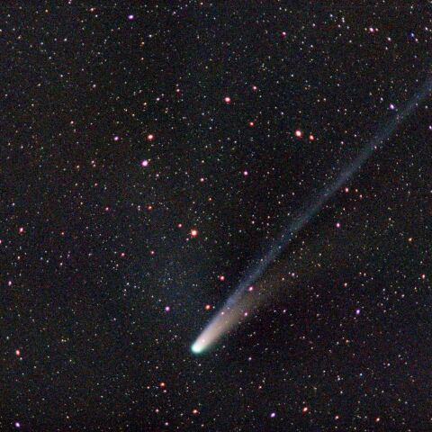 C 2025　A6　レモン彗星