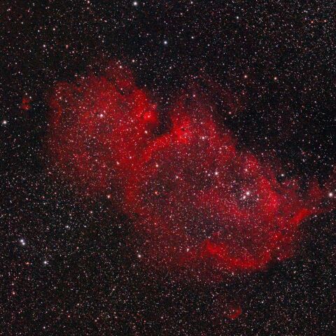 光害地での胎児星雲