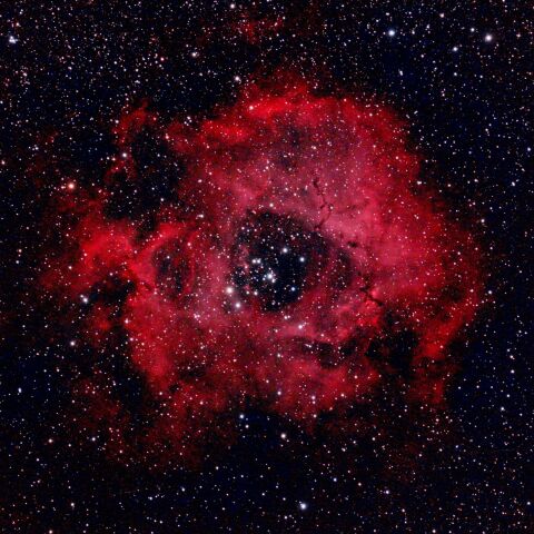 NGC2237_バラ星雲