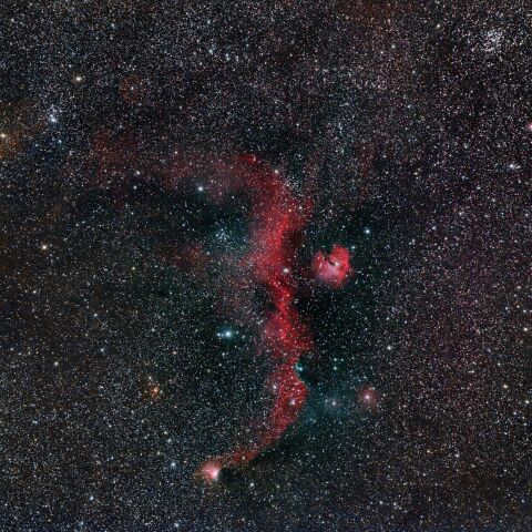 IC2177　カモメ星雲