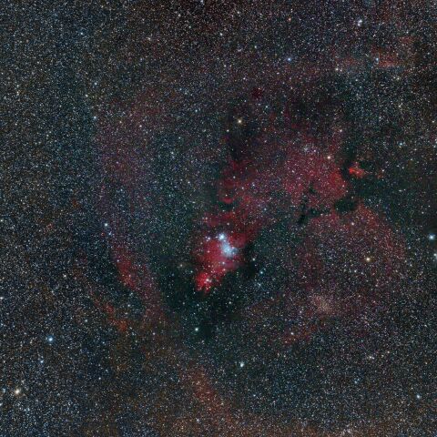 NGC22264　クリスマスツリー星団