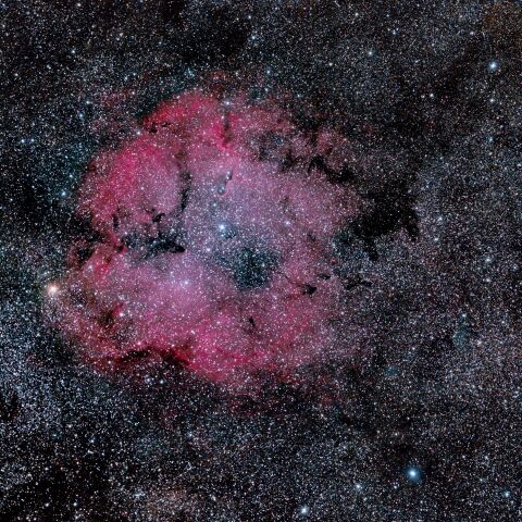IC1396 象の鼻星雲