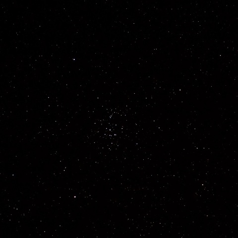 冬は蟹味噌（プレセペ星団）