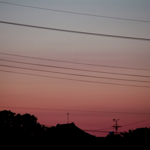 暁天の金星