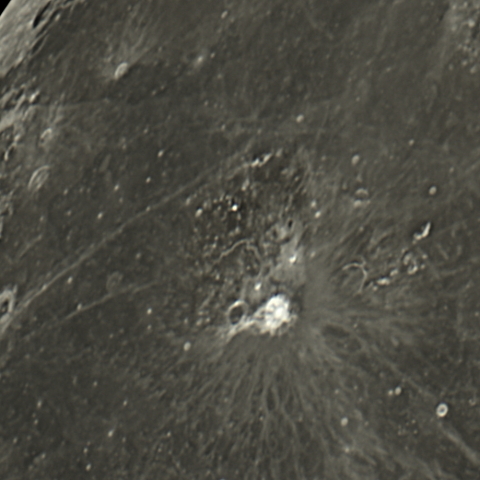 アリスタルコス