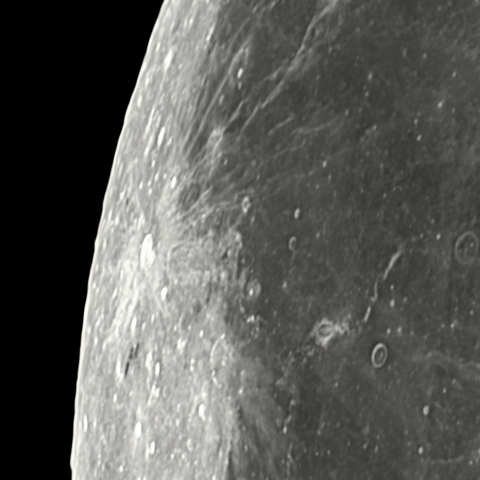 月　グルーシコ　ライナーガンマ