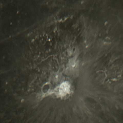 アリスタルコス