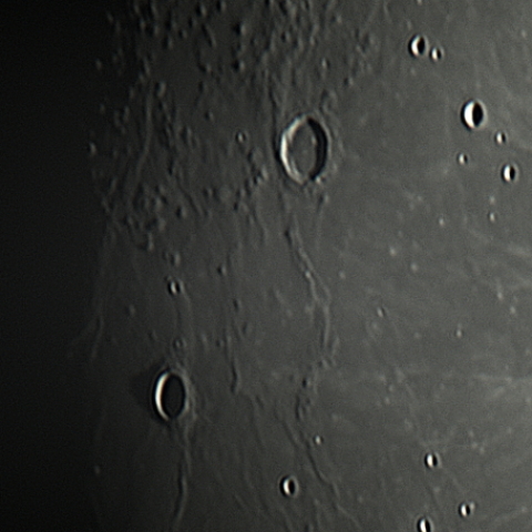 マリウス　ライナー