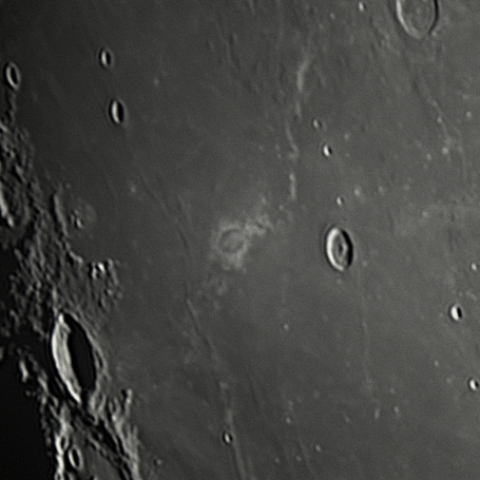 ライナーガンマ　ライナー