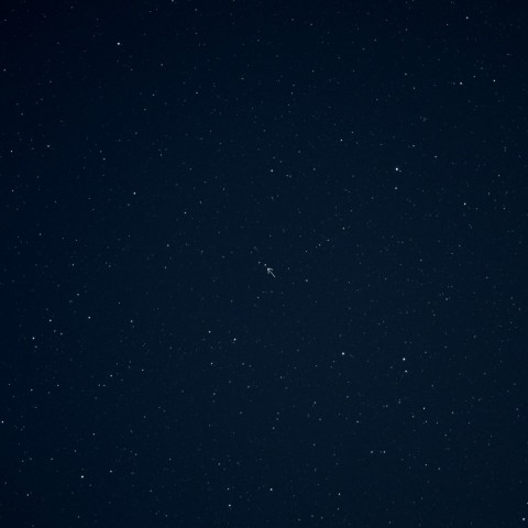 こいぬ座Rの極大 20190324