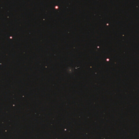 M61の超新星?