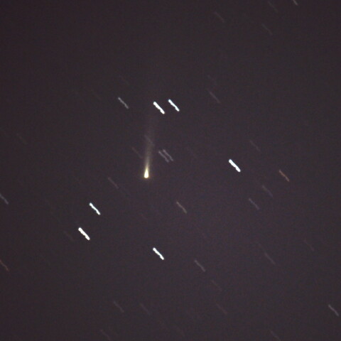 11月11日　C/2025 K1　アトラス