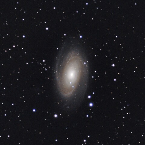M81