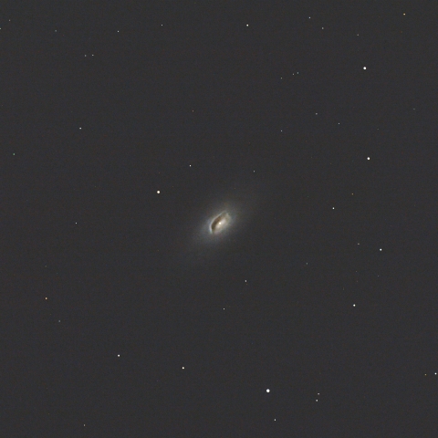 M64