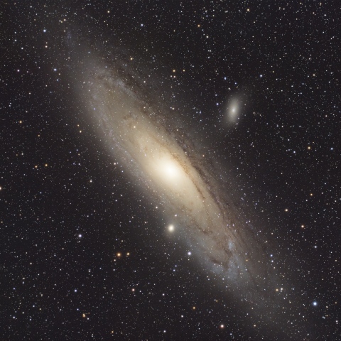 M31