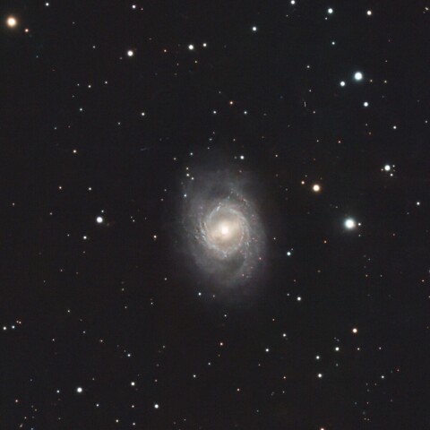 M95