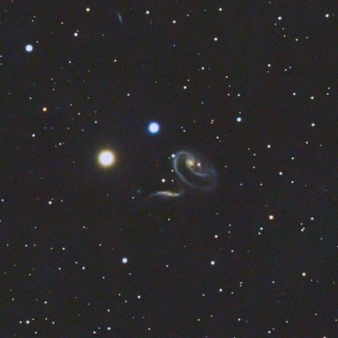 Arp273