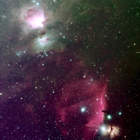 タカハシFSQ85EDP オリオン大星雲と馬頭星雲