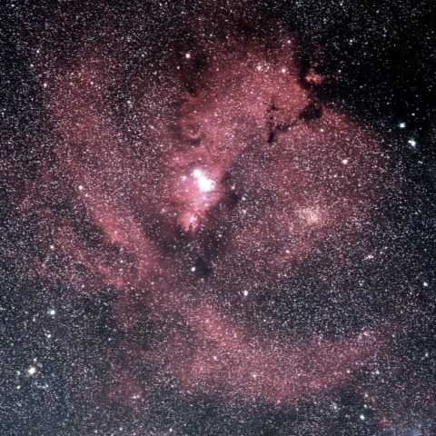 FSQ85EDP クリスマスツリー星団