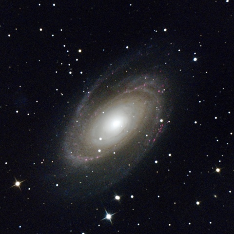 ミューロン210　M81