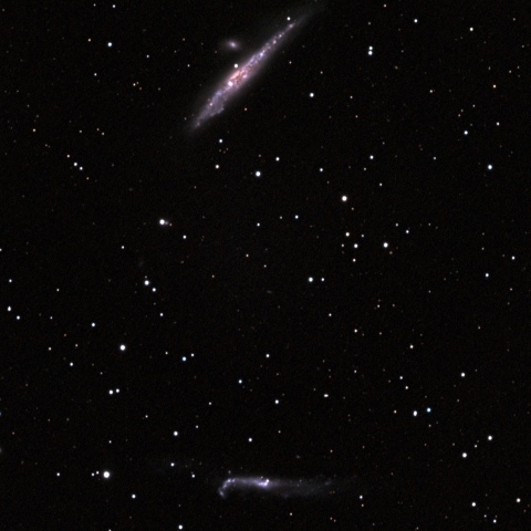 FSQ85EDP NGC4631 NGC4656