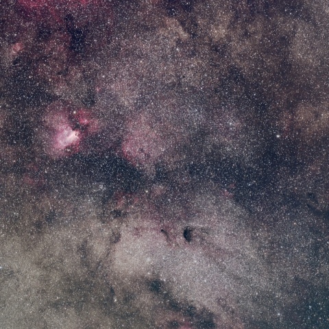 FCT-65D 蝶を見上げるバンビの横顔星雲